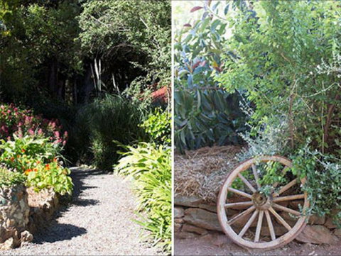 Brown's House Bed & Breakfast - Accommodation Mount Tamborine 8
