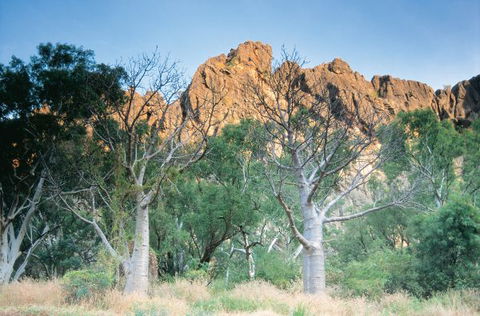 Windjana Gorge Camp At Windjana Gorge National Park - Accommodation Mount Tamborine 1
