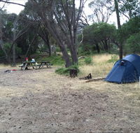 Allports Beach Camping Ground - Accommodation Mount Tamborine