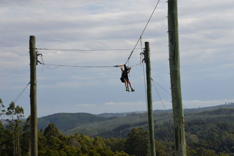 Allambee Camp - Accommodation Mount Tamborine 3
