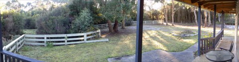 Arties Cottage Accommodation - Accommodation Mount Tamborine 3