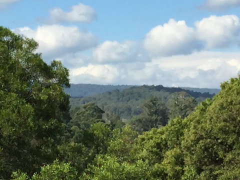 Barrington Tops Escapes - Accommodation Mount Tamborine 3