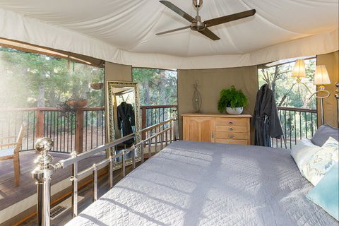 Beechworth Wildlife Stays - Accommodation Mount Tamborine 1