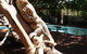 Beechworth Wildlife Stays - thumb 7