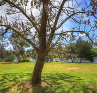 Breakaway Twin Rivers Caravan Park - Accommodation Mount Tamborine