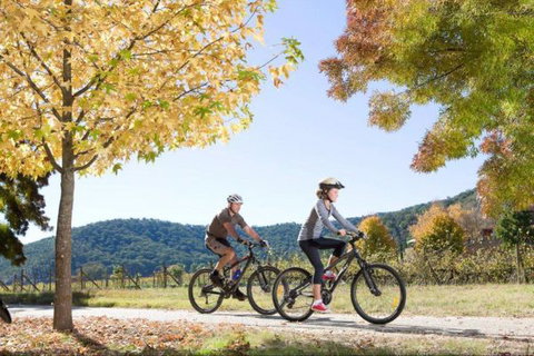 Bright Freeburgh Caravan Park - Accommodation Mount Tamborine 1