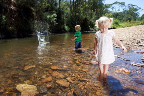 Bright Freeburgh Caravan Park - Accommodation Mount Tamborine 3
