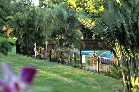 Bush Oasis Caravan Park - Accommodation Mount Tamborine 4