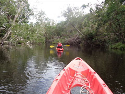 Byfield Cabins On Waterpark Creek - Accommodation Mount Tamborine 3