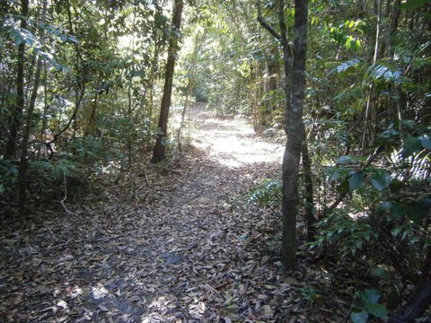 Byfield Cabins On Waterpark Creek - Accommodation Mount Tamborine 5