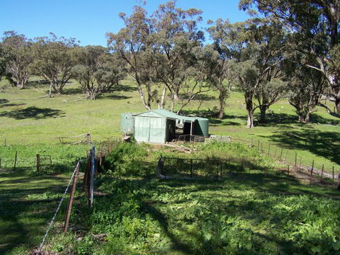 Catninga Mountain Camp Hut - Accommodation Mount Tamborine 7