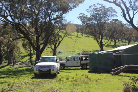 Catninga Mountain Camp Hut - Accommodation Mount Tamborine 8