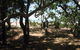 Cape Palmerston Holiday Park - thumb 3