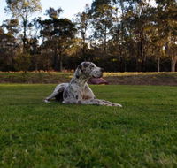 Hunter Valley Retreat - Accommodation Mount Tamborine