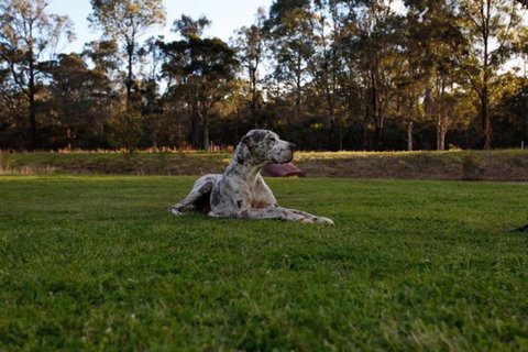 Hunter Valley Retreat - Accommodation Mount Tamborine 0