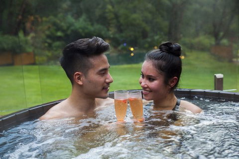 Japanese Mountain Retreat Mineral Springs & Spa - Accommodation Mount Tamborine 3