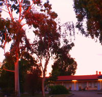 Murray Bridge Central Olympic Motel and Cottages - Accommodation Mount Tamborine