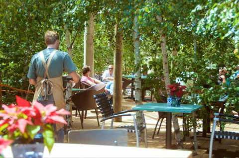 Oakdene Vineyards Guesthouse - Accommodation Mount Tamborine 5