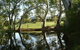 White Hill Estate - thumb 2