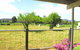 Orange Tree Cottage - thumb 8
