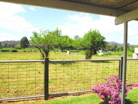Orange Tree Cottage - Accommodation Mount Tamborine 8