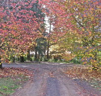 Rustic Spirit - Accommodation Mount Tamborine