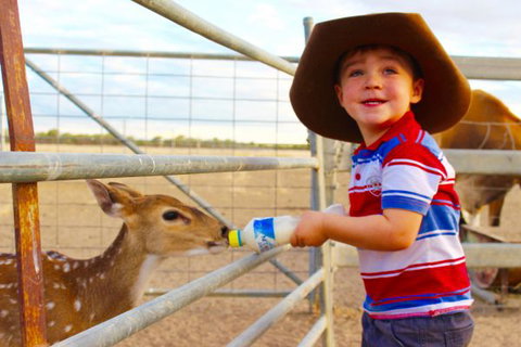 Shandonvale Station - Accommodation Mount Tamborine 9