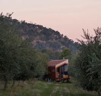 Shacky in the Olive Grove - Accommodation Mount Tamborine