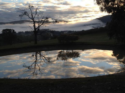 The Black Sparrow - Accommodation Mount Tamborine 1