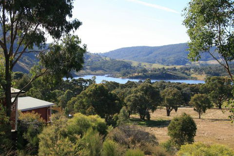 The Black Sparrow - Accommodation Mount Tamborine 2