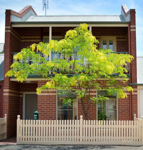 Turner Terrace - Accommodation Mount Tamborine 0