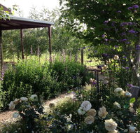 Wandana Bed and Breakfast - Accommodation Mount Tamborine