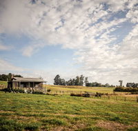 Wines for Joanie Cottage - Accommodation Mount Tamborine