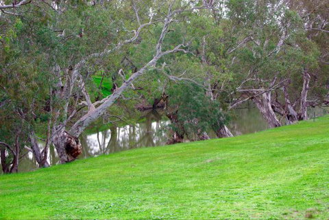 Yalooka Farm - Accommodation Mount Tamborine 4