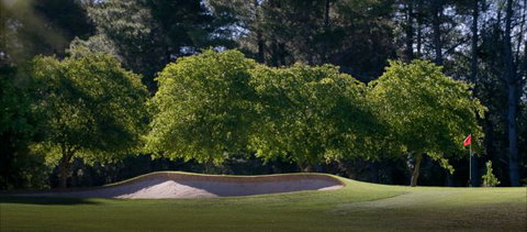 Yowani Country Club - Accommodation Mount Tamborine 4
