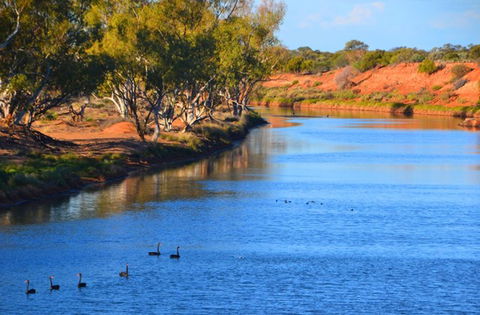 Murchison Oasis Roadhouse, Motel, Caravan Park - Accommodation Mount Tamborine 2