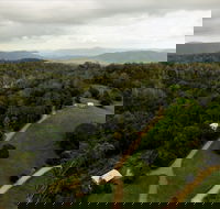 Bellthorpe Stays - Nature's Retreat - Accommodation Mount Tamborine