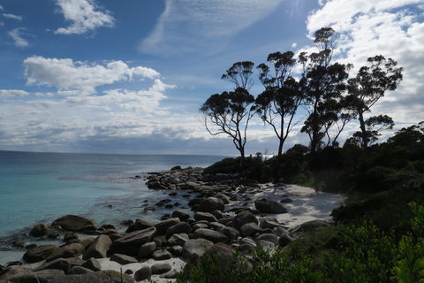 Binalong Bay Beach Shack - Accommodation Mount Tamborine 0