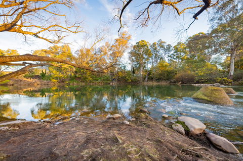 Eildon Riverside Holiday Park - Accommodation Mount Tamborine 8