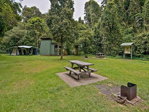 Forest Tops Campground - Accommodation Mount Tamborine 0