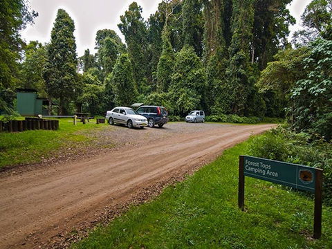 Forest Tops Campground - Accommodation Mount Tamborine 1