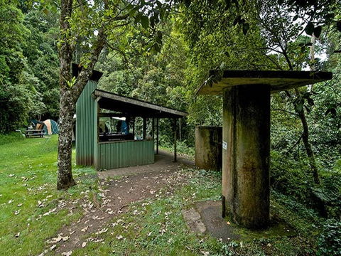 Forest Tops Campground - Accommodation Mount Tamborine 3