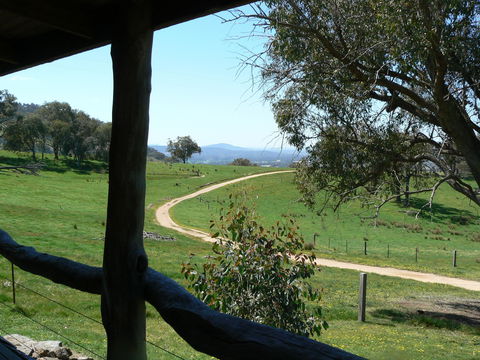 Gaddleen Grove Cottages - Accommodation Mount Tamborine 1