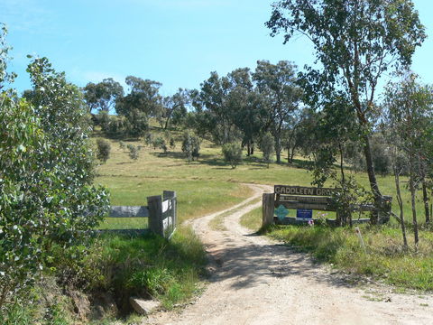 Gaddleen Grove Cottages - Accommodation Mount Tamborine 3