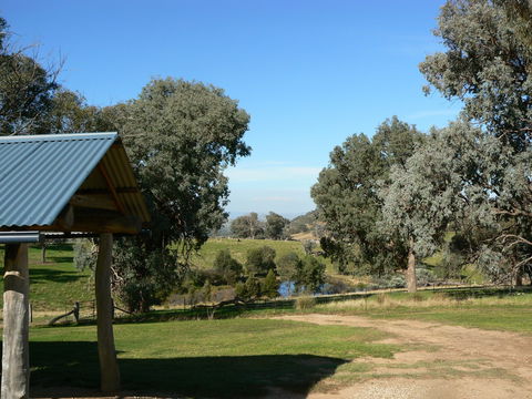 Gaddleen Grove Cottages - Accommodation Mount Tamborine 4