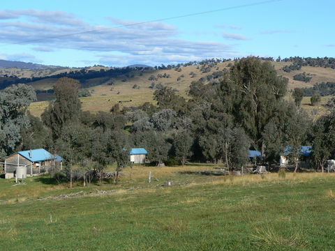 Gaddleen Grove Cottages - Accommodation Mount Tamborine 7