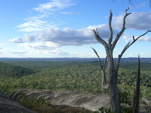 Goat Rock Camping Ground And Tourist Park - Accommodation Mount Tamborine 0