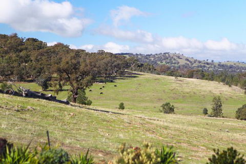 Longview Holiday Let Glenrowan - Accommodation Mount Tamborine 5
