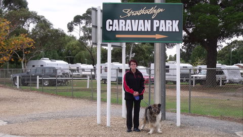 Strathalbyn Caravan Park - Accommodation Mount Tamborine 0