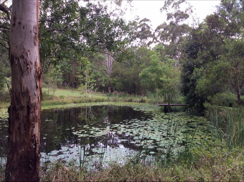 Maleny Country Cottages - Accommodation Mount Tamborine 3